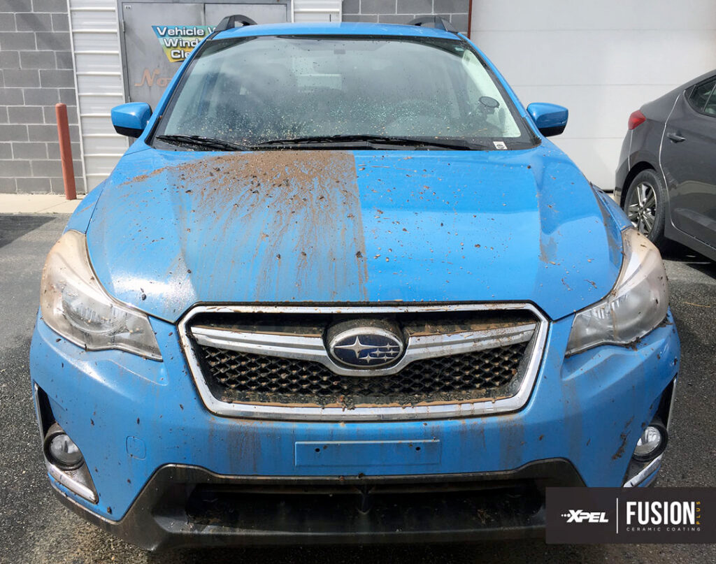 ボンネット左側：施工なし 右側：FUSION PLUS施工